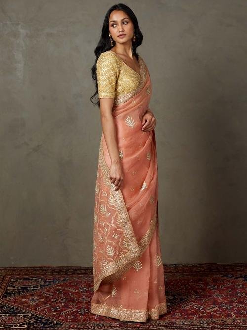 Coral Sterling Saree With Stitched Blouse - View 3